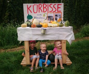 Drei Kinder, zwei Mädchen und ein Junge, mit ihrem Kürbisstand